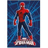 Edredón-Duvet Disney SPIDERMAN 240gr